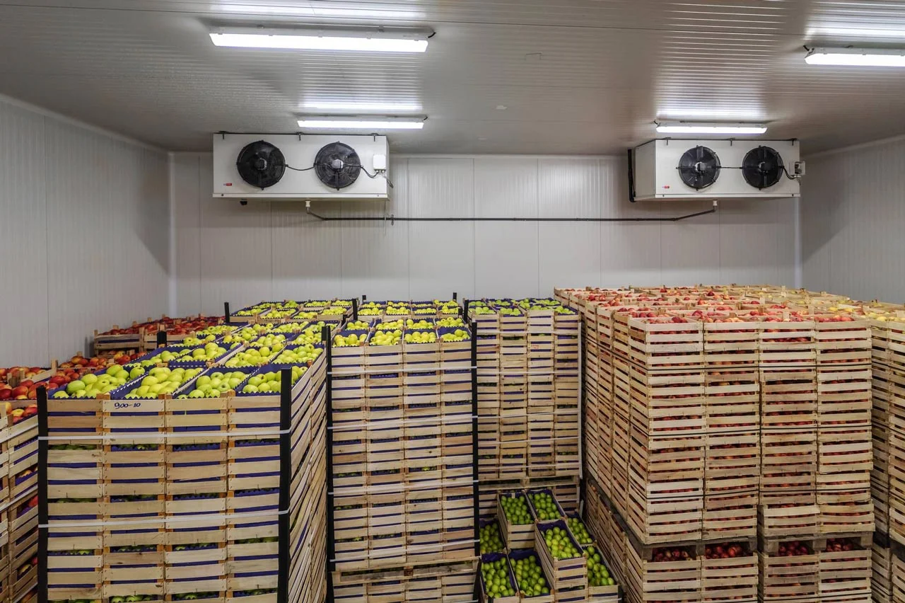 Contêiner reefer aberto com paletes de alimentos refrigerados