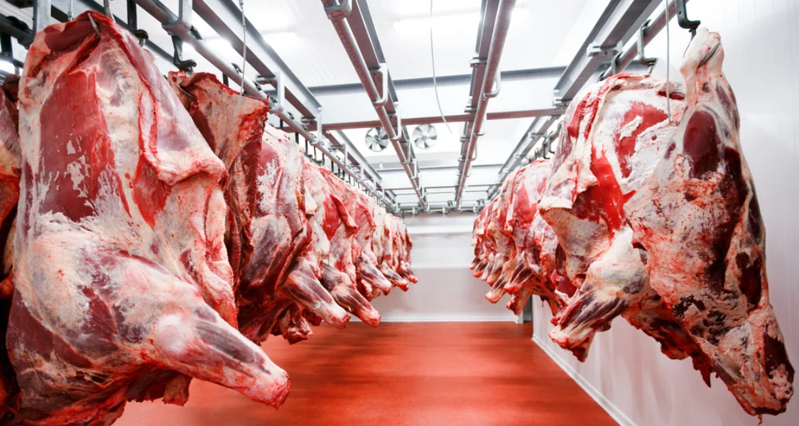 Paletes de produtos congelados sendo carregados em contêiner reefer